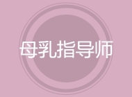母乳指导师