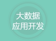 大数据应用开发