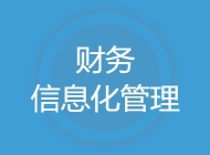 财务信息化管理