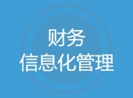 财务信息化管理